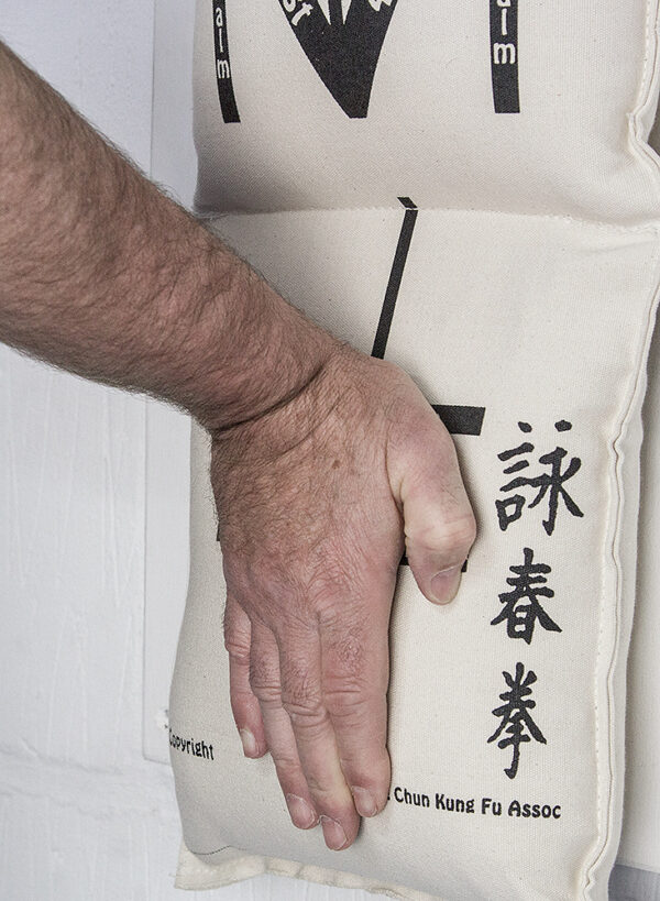 Wallbag Training DVD - Image 9