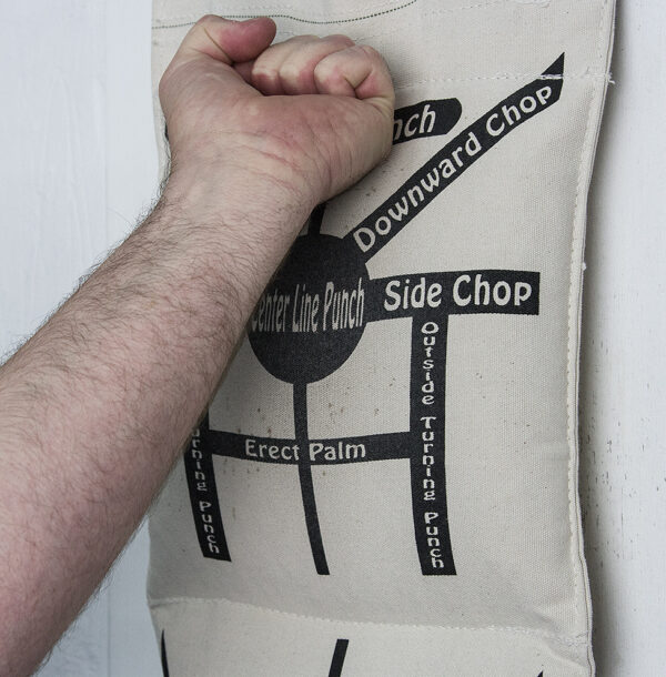 Wallbag Training DVD - Image 18