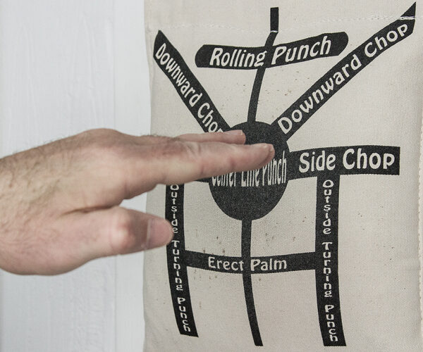 Wallbag Training DVD - Image 15