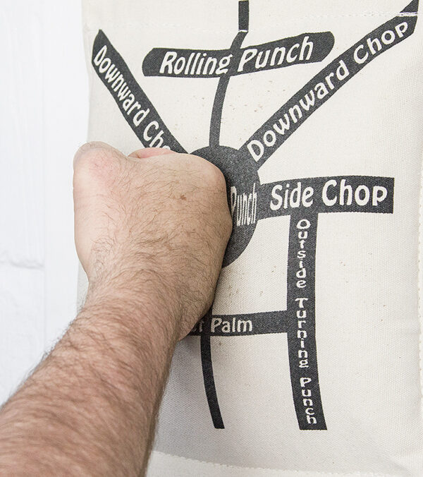 Wallbag Training DVD - Image 10