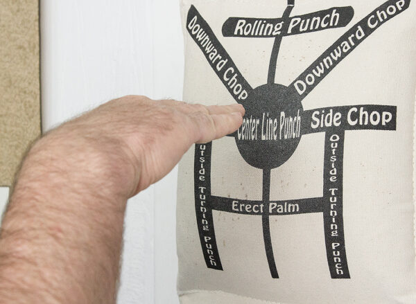 Wallbag Training DVD - Image 8