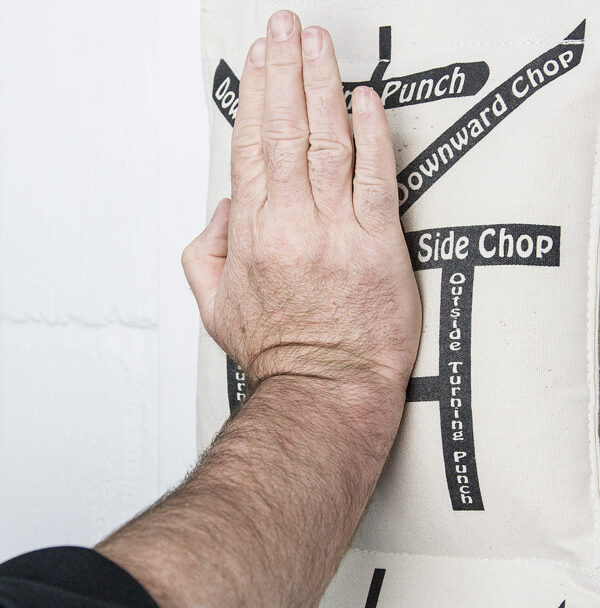 Wallbag Training DVD - Image 7