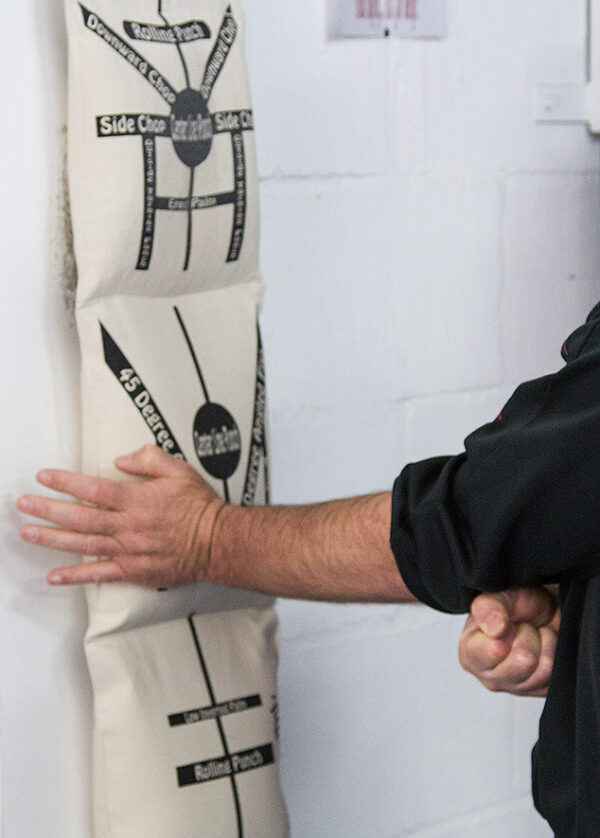 Wallbag Training DVD - Image 2