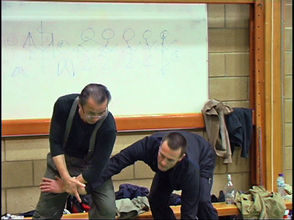 Wan Kam Leung Practical Wing Chun DVD - Image 10
