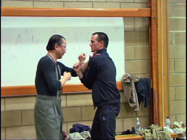 Wan Kam Leung Practical Wing Chun DVD - Image 8
