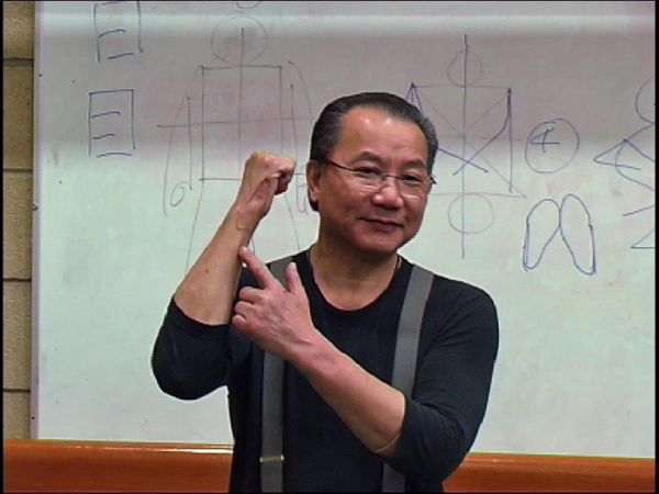 Wan Kam Leung Practical Wing Chun DVD - Image 14