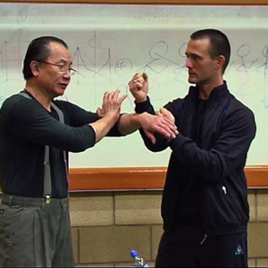 Wan Kam Leung Practical Wing Chun DVD