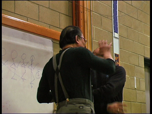 Wan Kam Leung Practical Wing Chun DVD - Image 12
