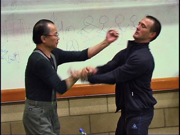 Wan Kam Leung Practical Wing Chun DVD - Image 5