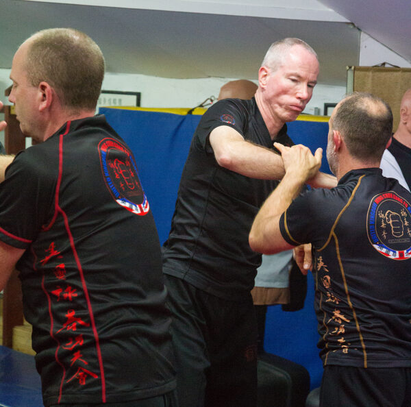Wing Chun Kung Fu Training Poly T-Shirt - Image 6