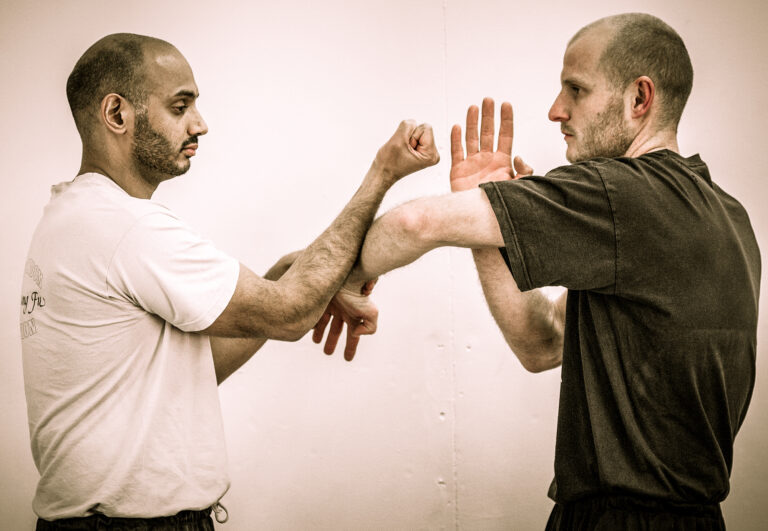 Wing Chun Lok Sau