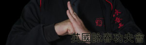 Read more about the article Wing Chun Kung Fu Siu Nim Tao MasterClass