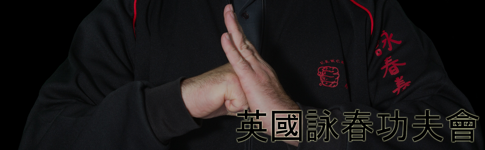 You are currently viewing Wing Chun Kung Fu Siu Nim Tao MasterClass