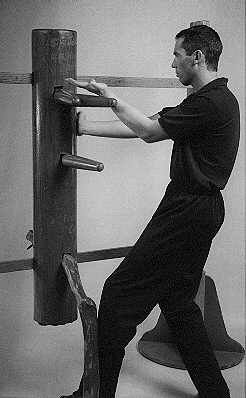 Read more about the article Wing Chun Taan Sau
