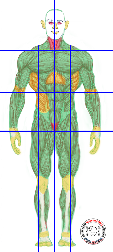 James Sinclair designed the graphic to help you understand the Siu Nim Tao principles regard the centre line and gates. The coloured areas designate red high danger to life and yellow incapacity