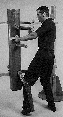 Wing Chun Wooden Dummy Sweep