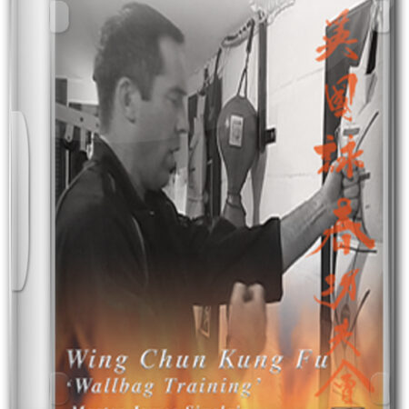 Wing Chun Wallbag Training Bundle