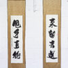 Wing Chun Wallbag Training Bundle - Image 4