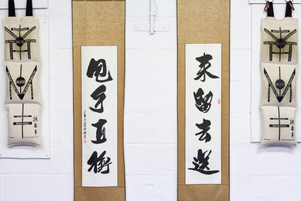 Wing Chun Wallbag Training Bundle - Image 4