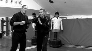 Control of the Elbow is essential in Wing Chun.