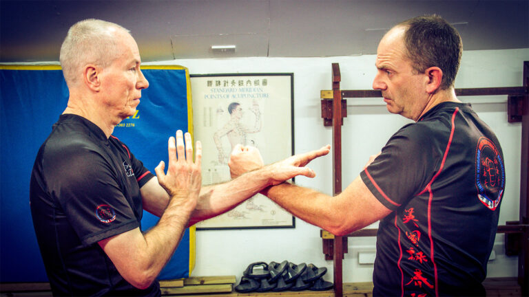 UKWCKFA Wing Chun Kung Fu Cham Kiu Fut Sau