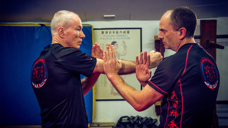 Wing Chun Cham Kiu