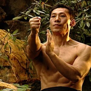 Kung Fu Fighting