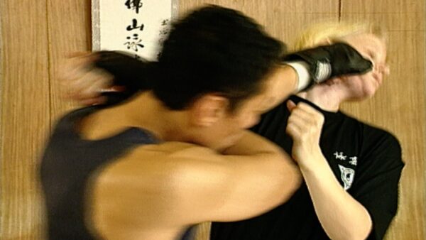Kung fu Fighting DVD with Master Tang in action