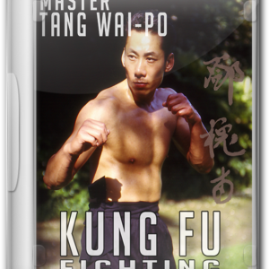 Kung Fu Fighting