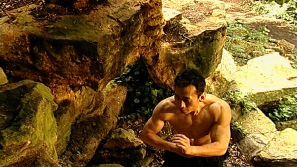 Master Tang Wai Po Kung Fu Fighting DVD