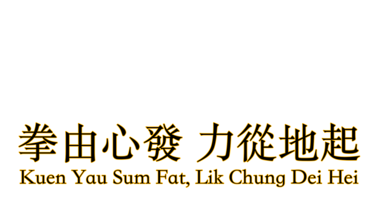 Kuen Yau Sum Fat Lik Chung Dei Hei - Fist Comes From Heart Power Generated From Ground