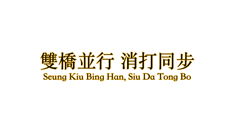 Seung Kiu Bing Han, Siu Da Tong Bo - Use Both Hands At The Same Time For Simultaneous Defence And Attack