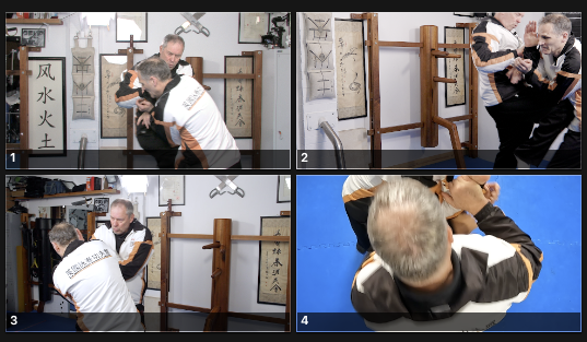 UK Wing Chun Assoc Online with 4 camera angles